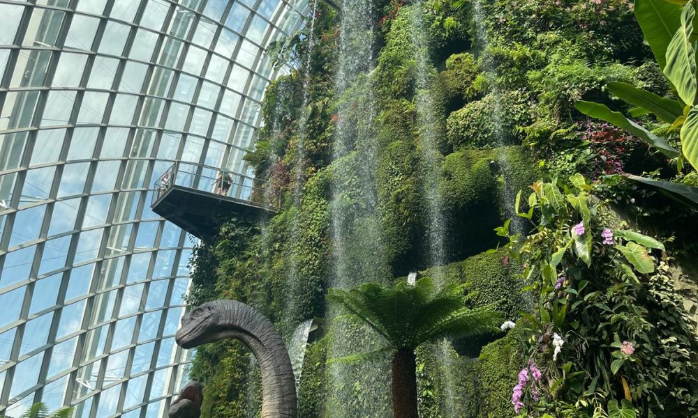 Immagine WhatsApp 2025-07-08 ore 20.24.51_2afe1154