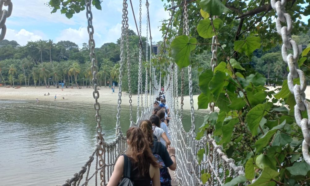 Immagine WhatsApp 2025-07-08 ore 20.24.56_87198647