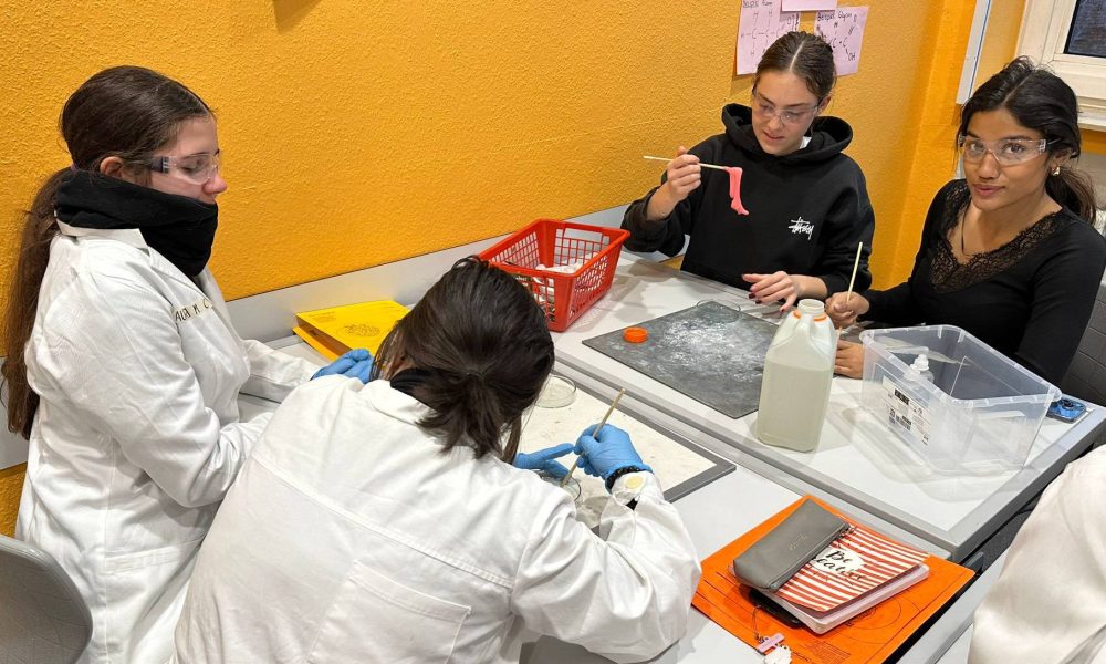 Immagine WhatsApp 2025-12-02 ore 08.50.39_601306e3