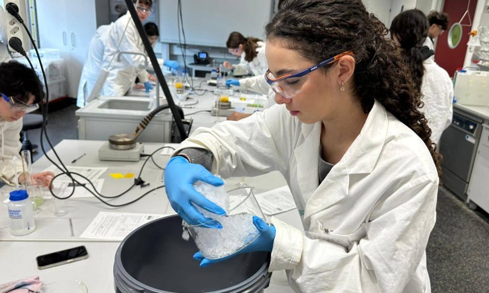 Immagine WhatsApp 2025-12-04 ore 10.15.56_7c4b0a7d