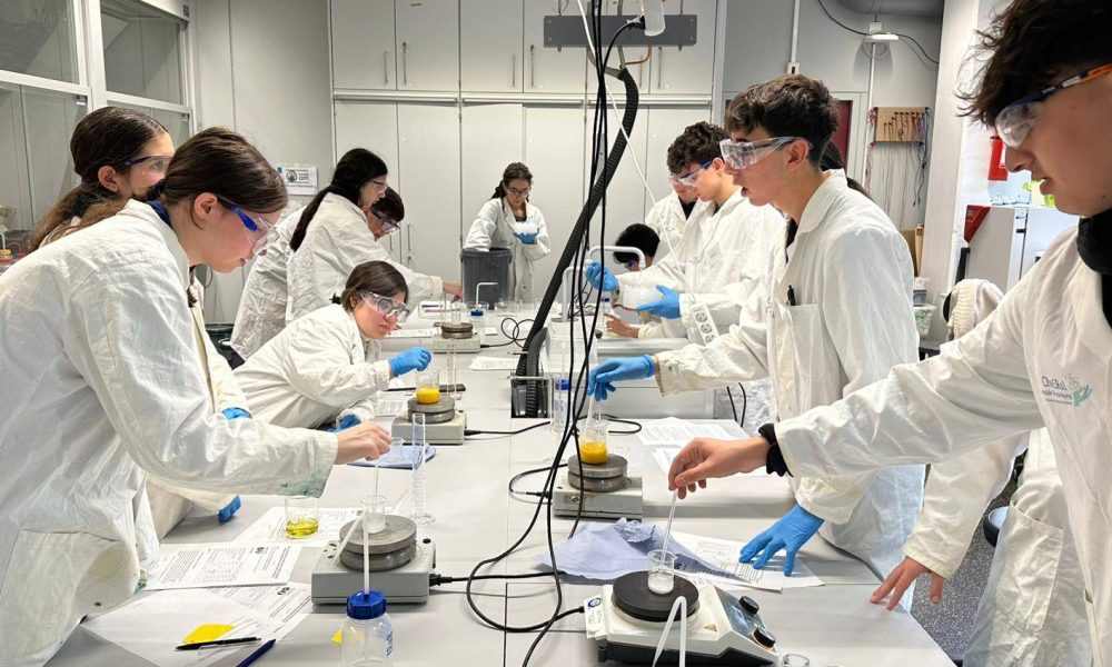 Immagine WhatsApp 2025-12-04 ore 10.15.56_9e4fc4cf