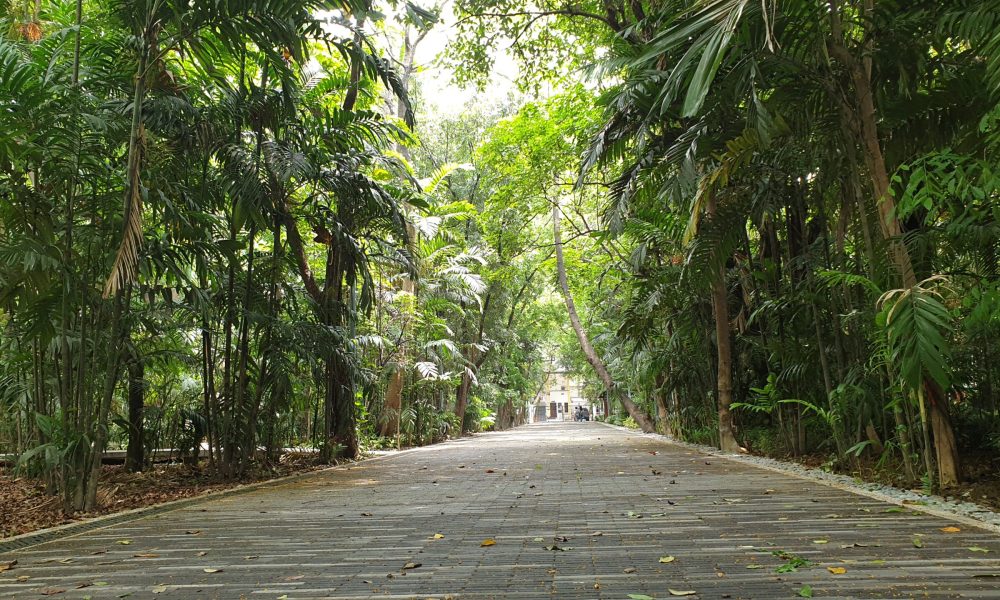 Manila_Lawton_Ermita_Arroceros_Forest_Park_Paths_9
